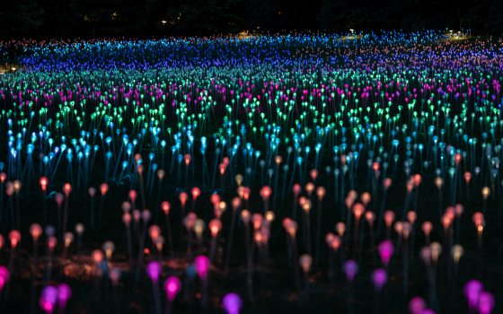nighttime field of small orb lights 